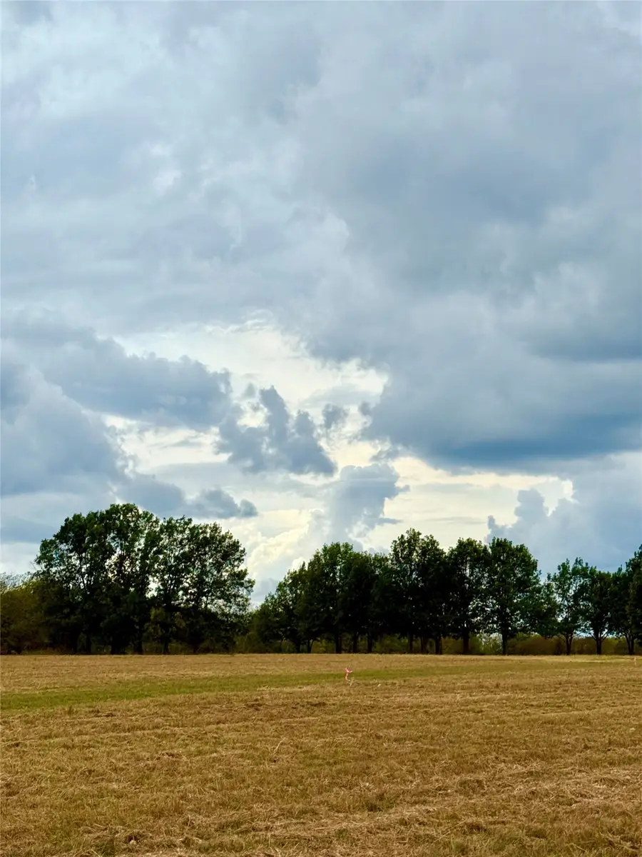 TBD Lot 12 County Road 3811, Wills Point, TX 75169 - Image #2