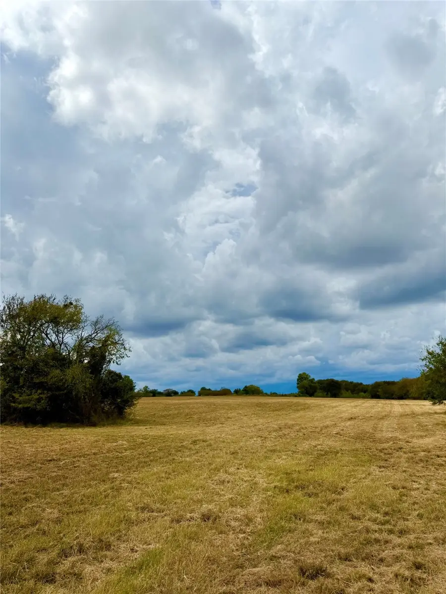 TBD Lot 12 County Road 3811, Wills Point, TX 75169 - Image #3