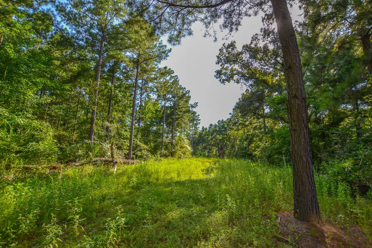 0 County Road 4224, Frankston, TX 75763 - Image #1