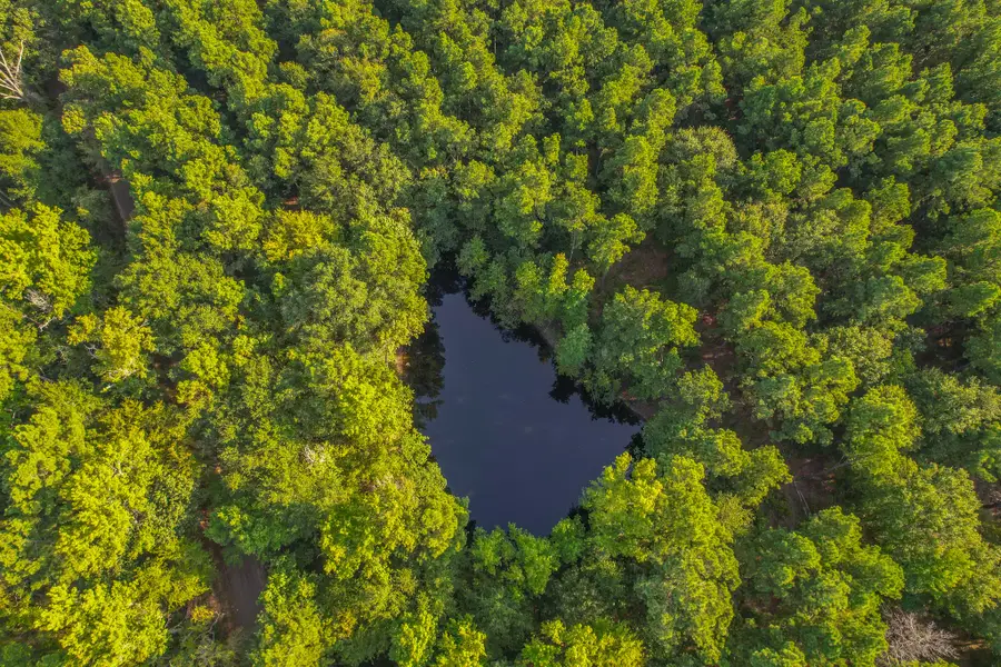 0 County Road 4224, Frankston, TX 75763 - Image #2