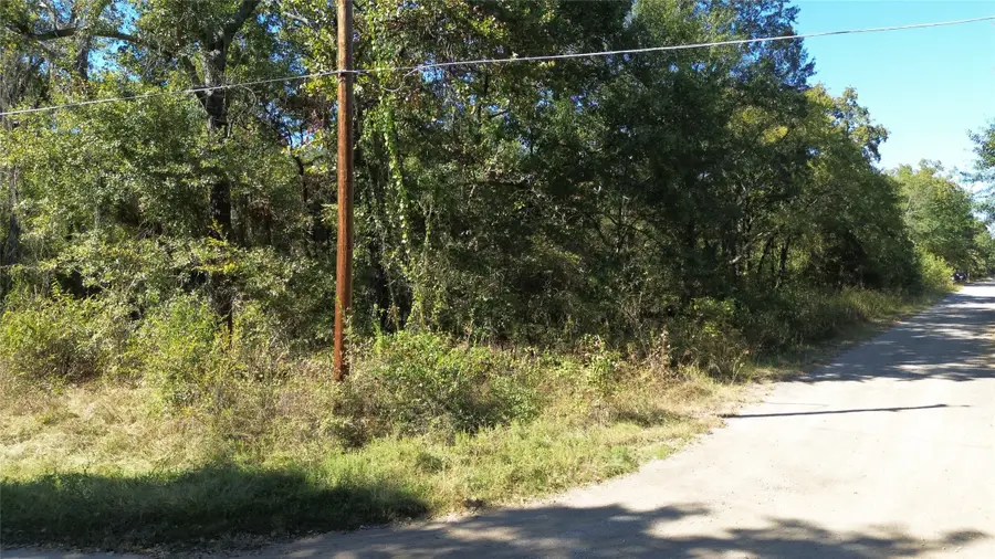 199 Coahoma Street, Mabank, TX 75156 - Image #3