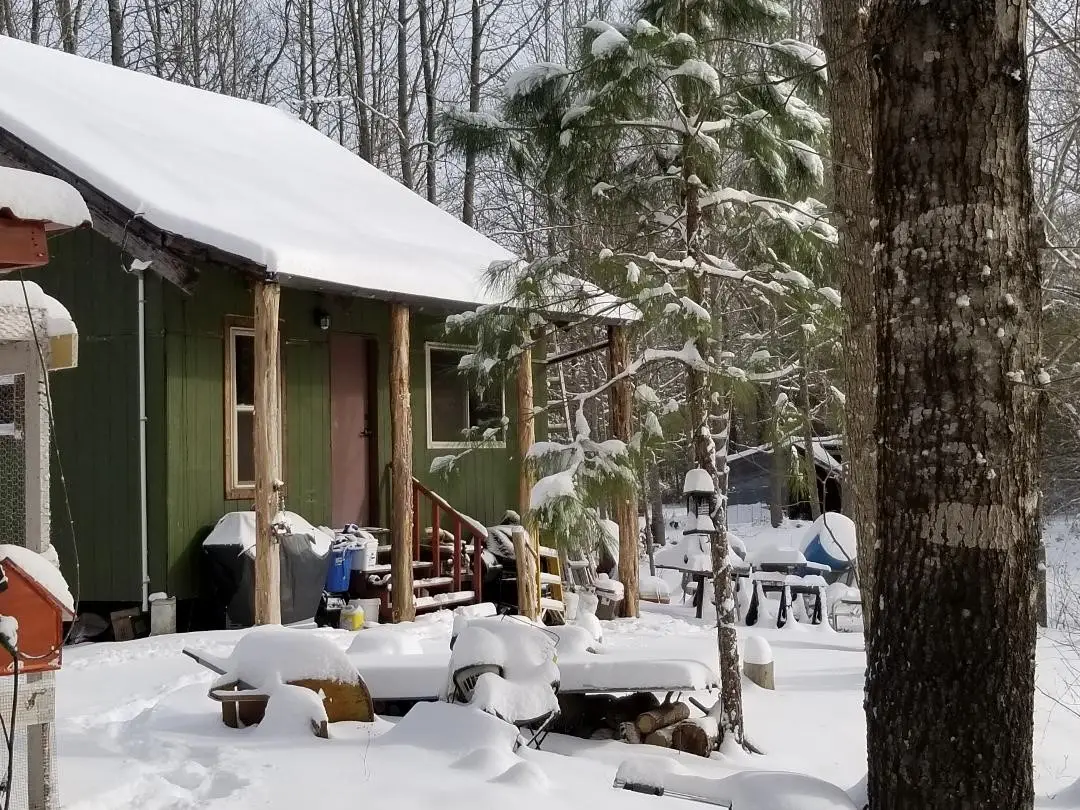 2492 Fm 990, De Kalb, TX 75559 - Image #1