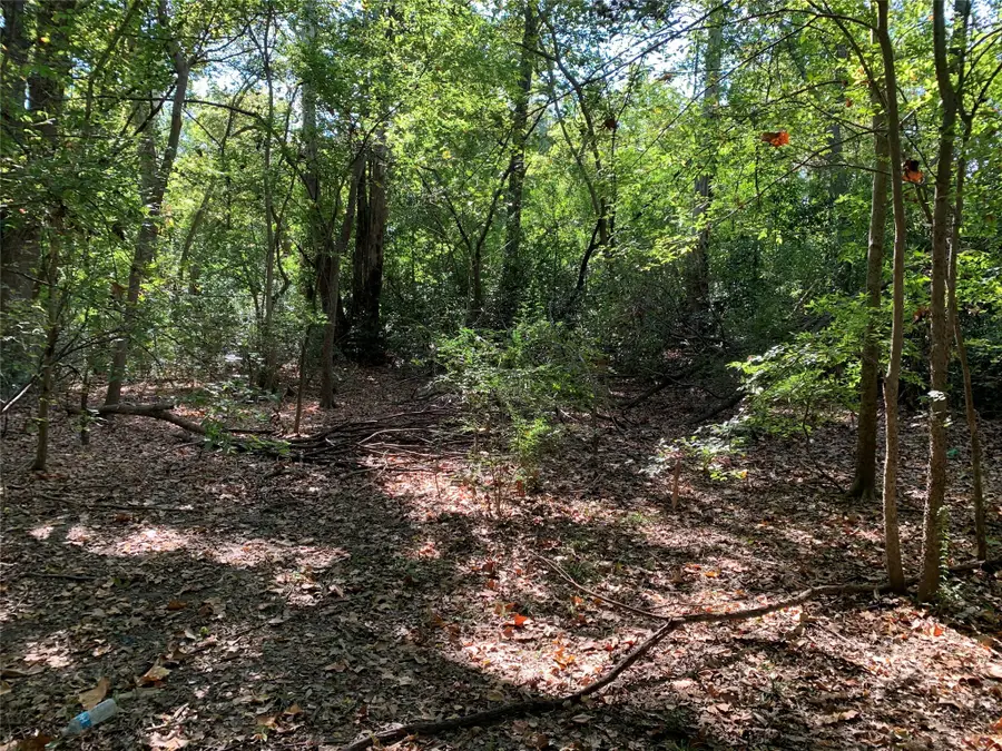 516 Chase Street, Athens, TX 75751 - Image #3