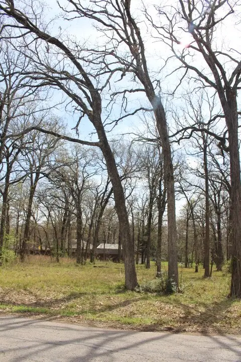 0 Arbolado Boulevard, Gun Barrel City, TX 75156 - Image #2