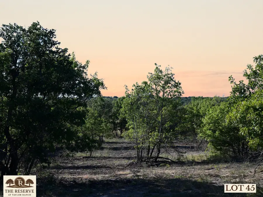 Lot 45 Colt Road, Springtown, TX 76082 - Image #2