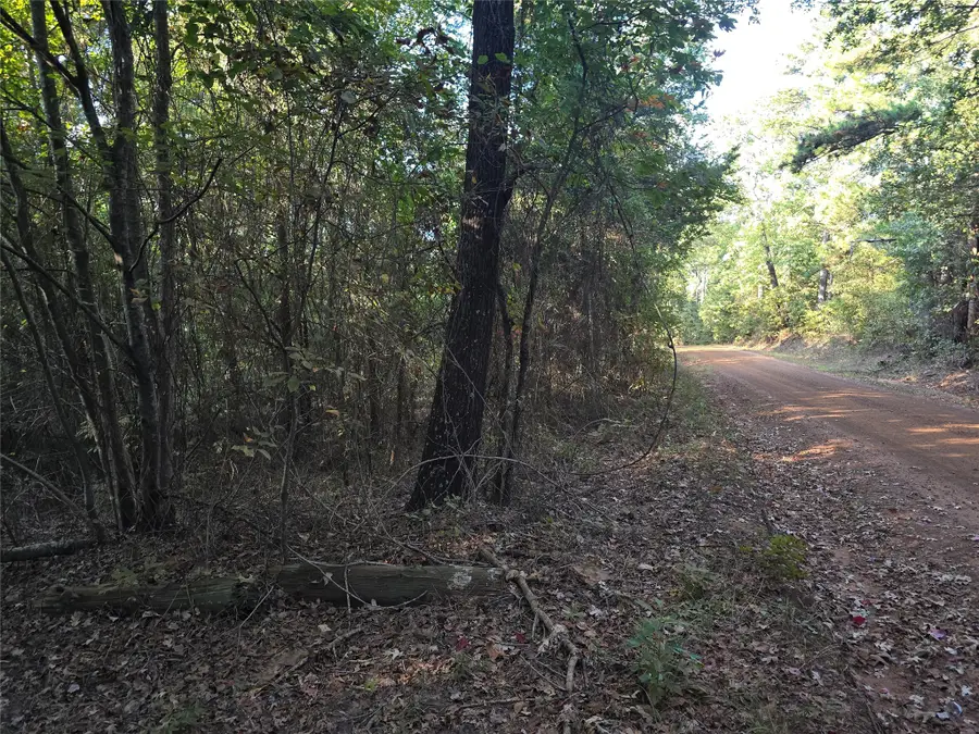 TBD Cr 2864, Hughes Springs, TX 75656 - Image #3