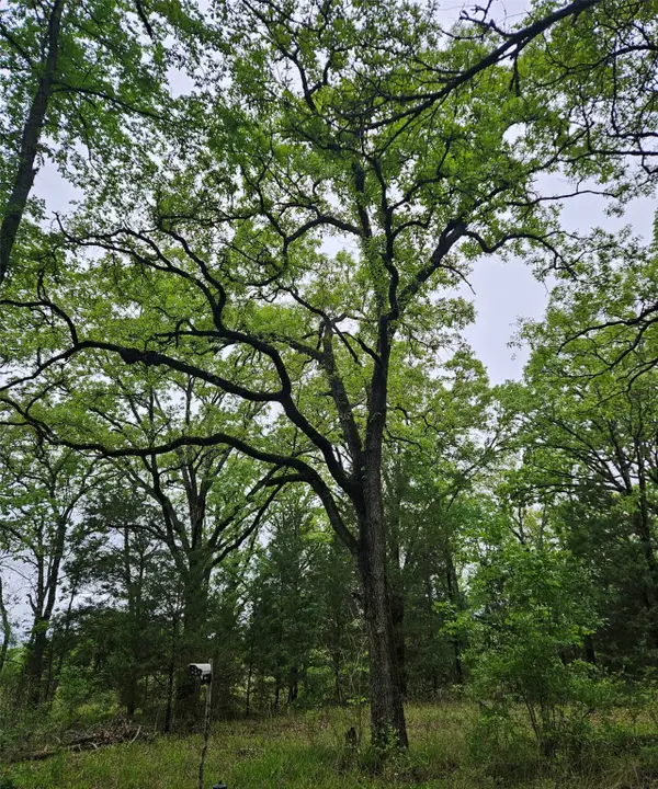 01 Private 5401 Road, Malakoff, TX 75148