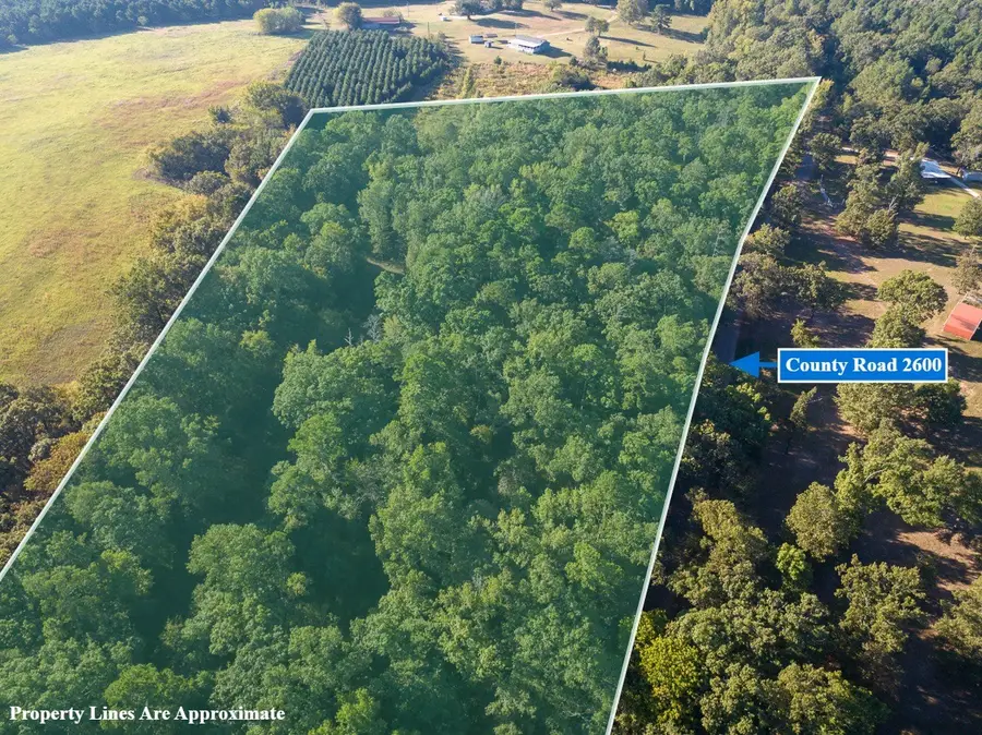 1 County Road 2600, Mount Pleasant, TX 75455 - #2