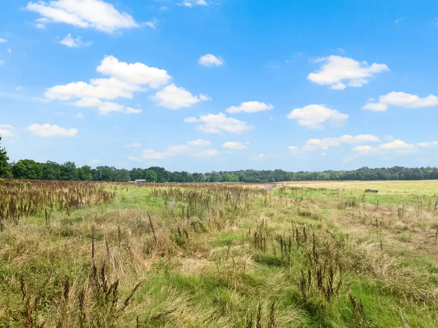 TBD Cr 2920, Pittsburg, TX 75686 - Image #2