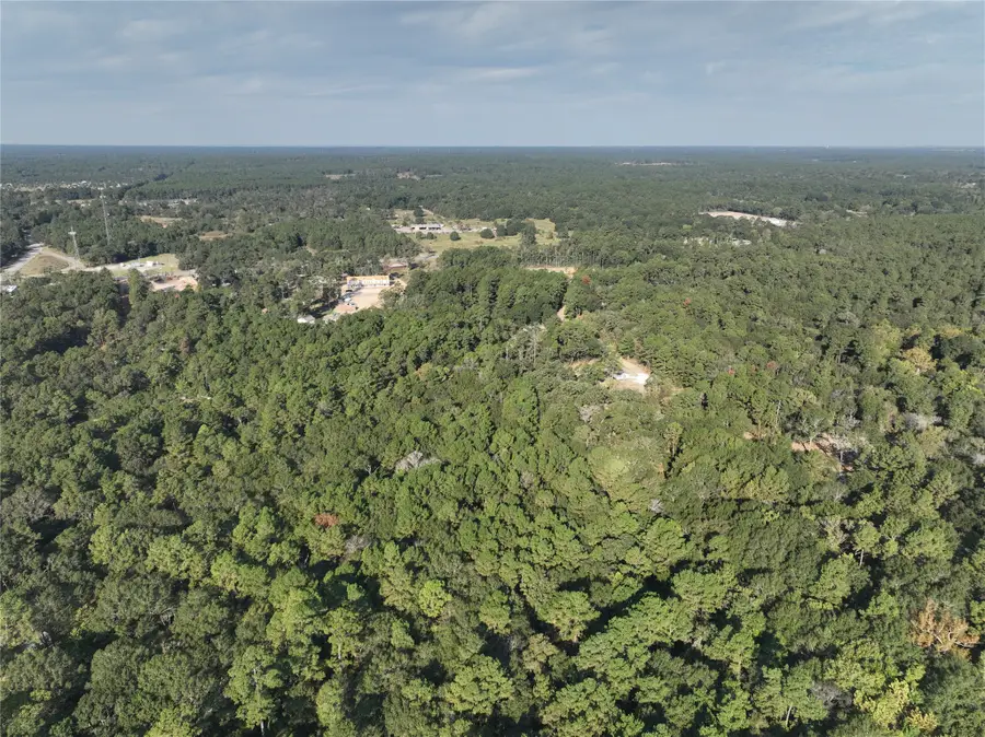 TBD Whispering Pines Lane, Plantersville, TX 77363 - Image #2