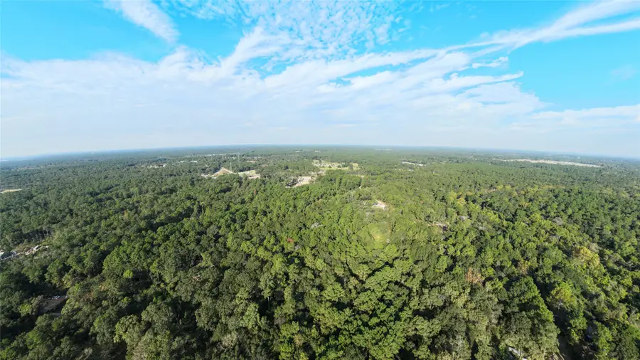 TBD Whispering Pines Lane, Plantersville, TX 77363 - Image #3