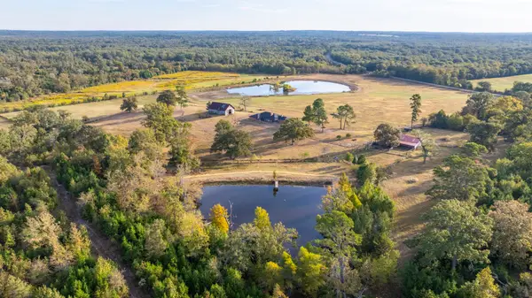 3222 Fm 1254, Mineola, TX 75773