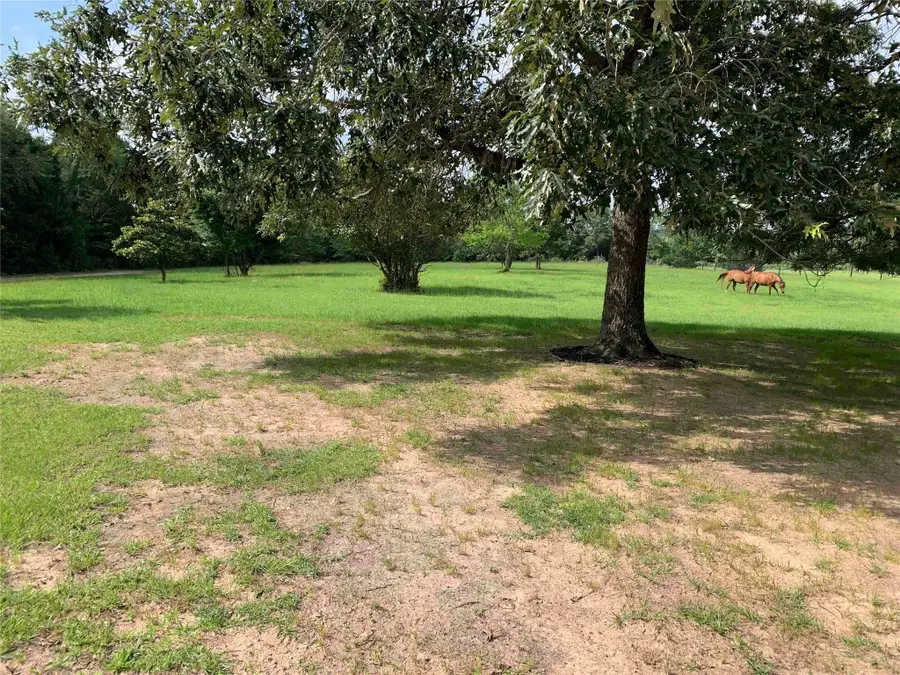 2066 Fm 1251, Beckville, TX 75631 - Image #2