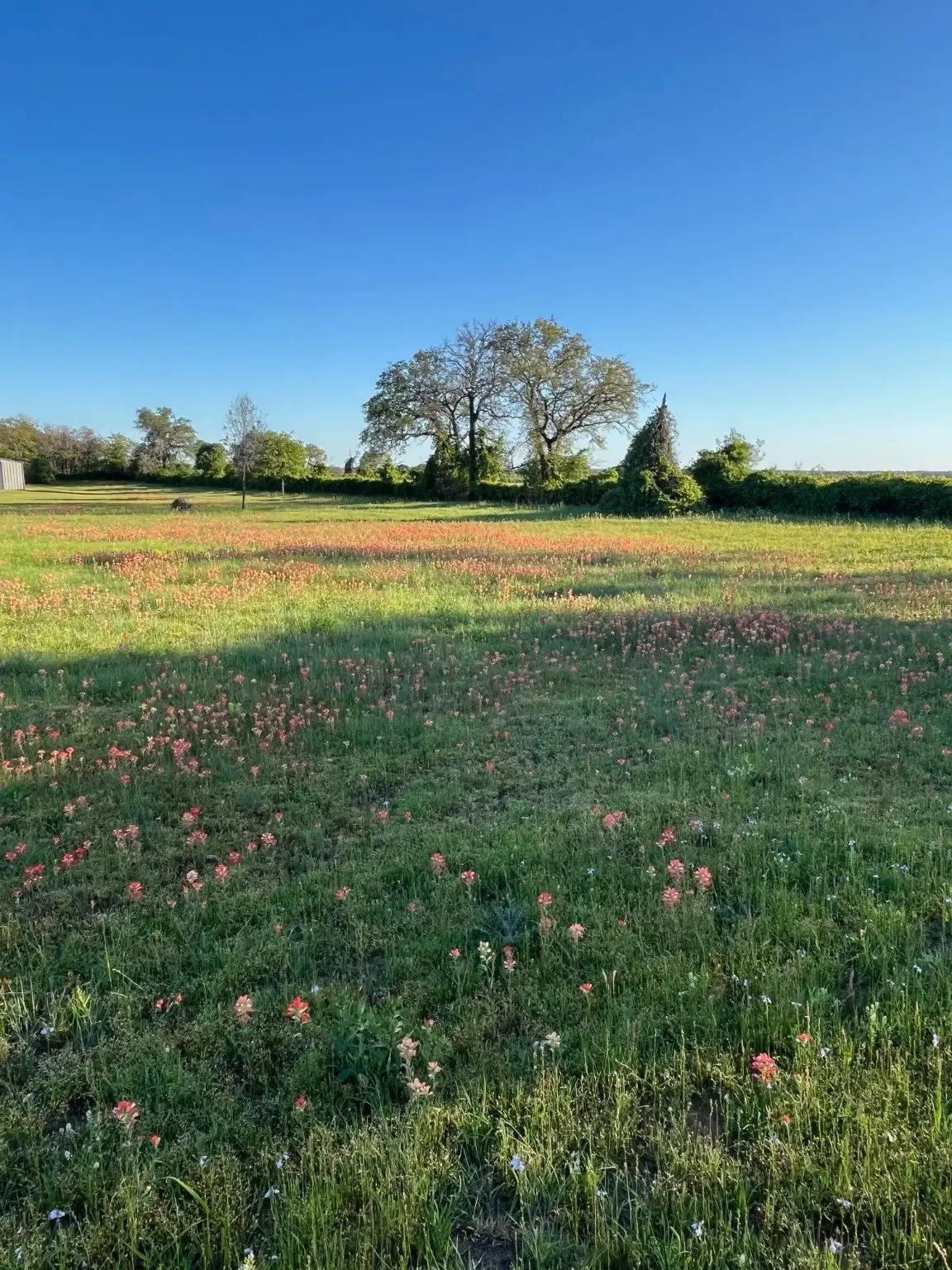 3951 Brushy Road, Granbury, TX 76048 - Image #1