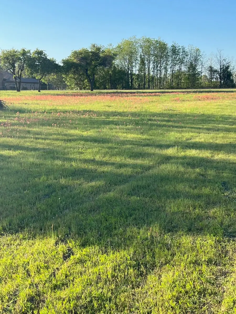 3951 Brushy Road, Granbury, TX 76048 - Image #2