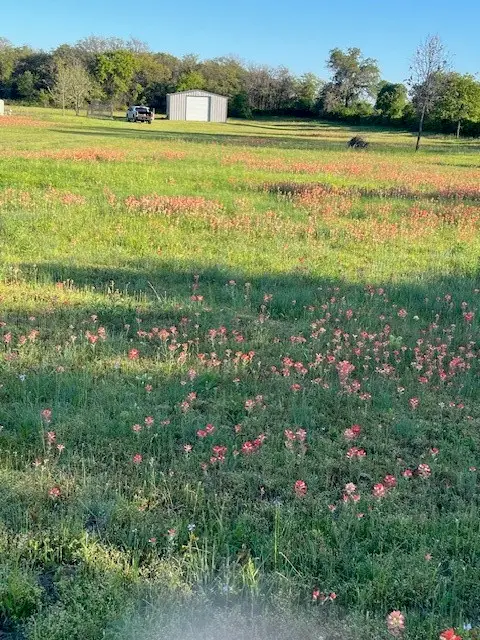 3951 Brushy Road, Granbury, TX 76048 - Image #3