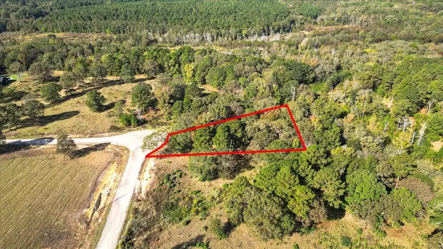 TBD Pr 3398 Road, Big Sandy, TX 75755 - Image #3