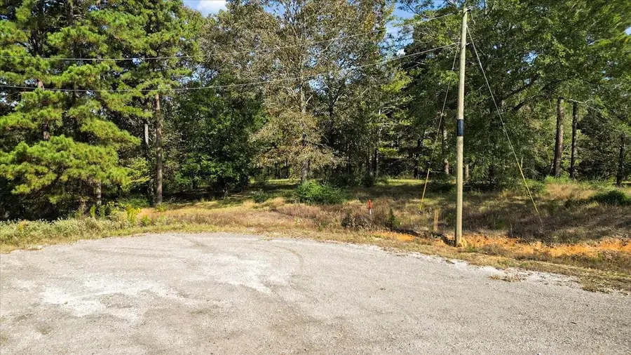 TBD Private Road, Big Sandy, TX 75755 - Image #3
