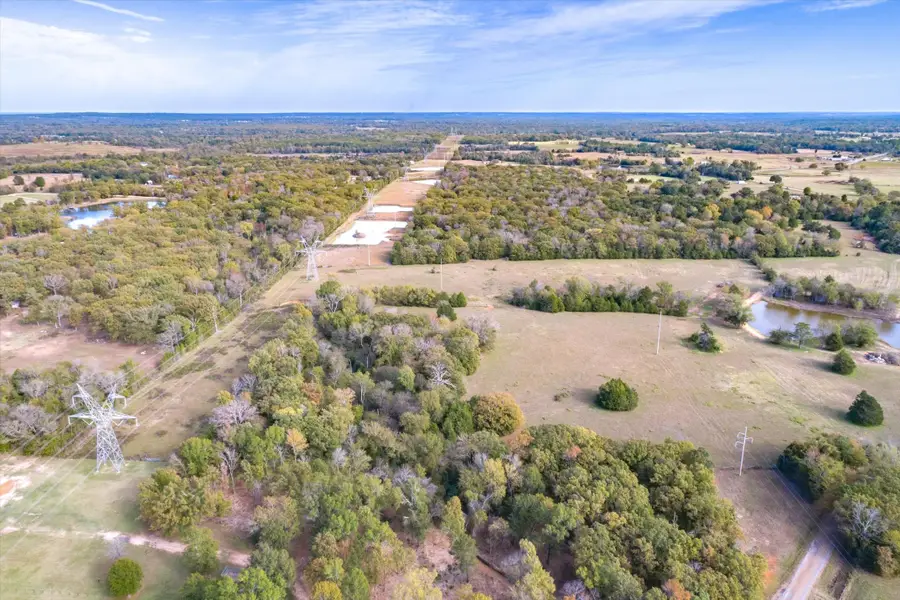 TBD Vz County Road 4503, Ben Wheeler, TX 75754 - Image #2