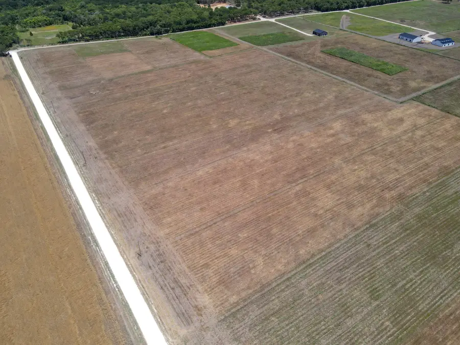 9133 County Road 101a, Grandview, TX 76050 - Image #3