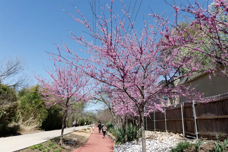 4044 Buena Vista #104, Dallas, TX 75204 - Image #3