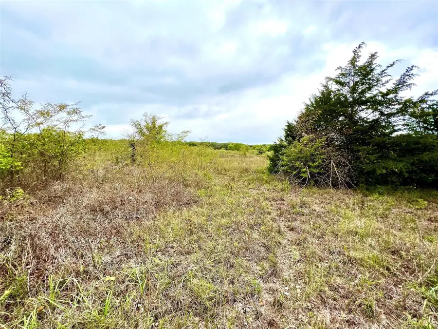 TBD Cr-2117, Gainesville, TX 76240 - Image #3