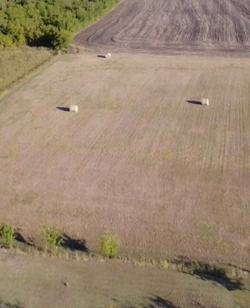 757 E Cottage Hill Parkway, McKinney, TX 75071 - #3