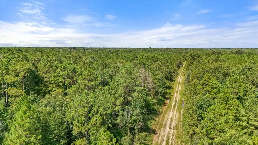 06 Hwy 105, Sour Lake, TX 77659 - #3
