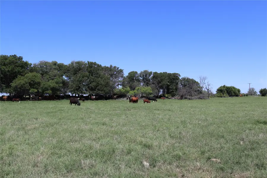 80 Acres South Deer Creek Rd, Henrietta, TX 76365 - Image #2