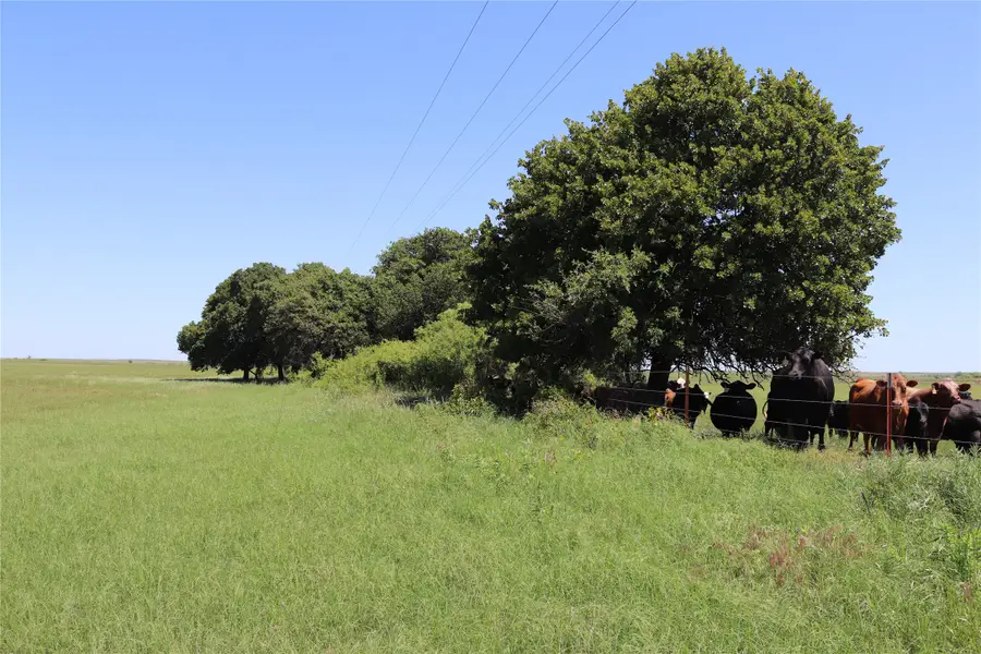 73 Acres West Deer Creek Rd, Henrietta, TX 76365 - Image #2