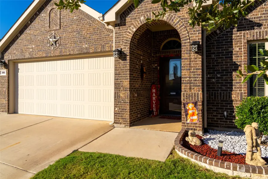 385 Coral Vine Lane, Burleson, TX 76028 - Image #3