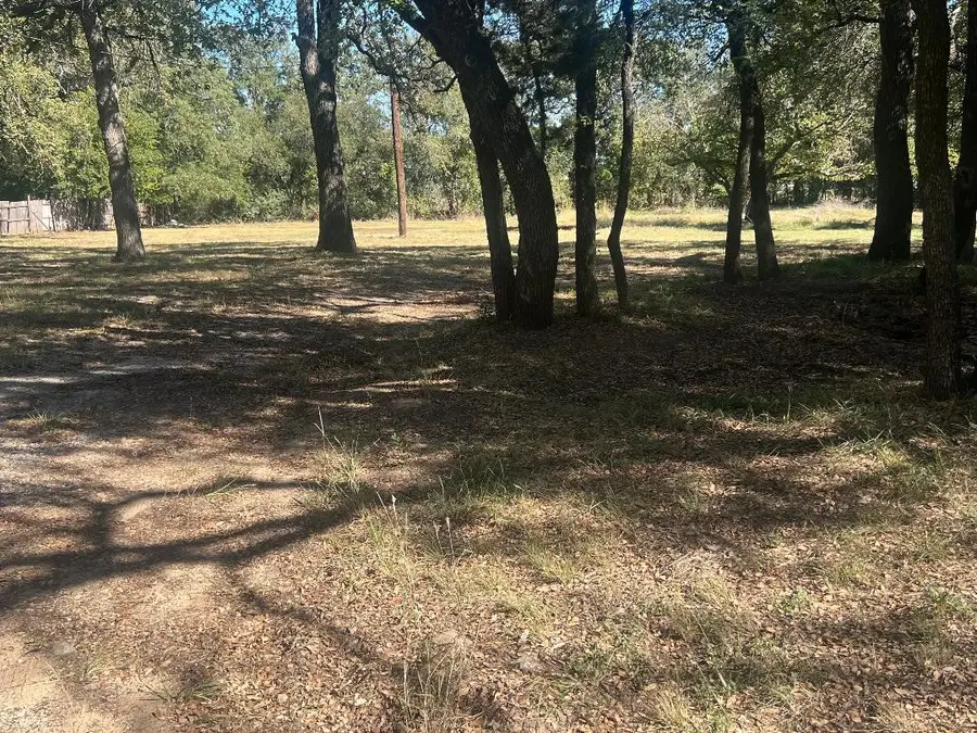 149 Bryon Drive, Weatherford, TX 76085 - Image #3