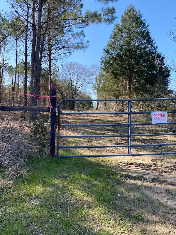 tbd SEE SURVEY Fm 250, Hughes Springs, TX 75656