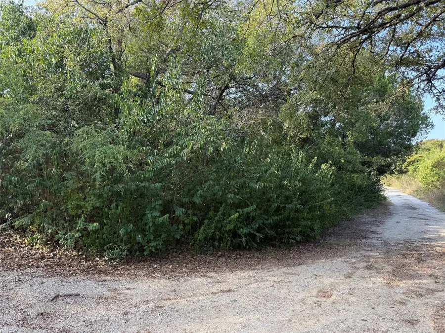 TBD Poppy Lane, Whitney, TX 76692 - Image #2