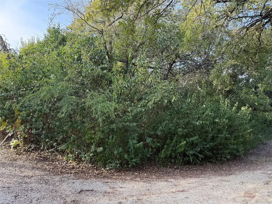 TBD Poppy Lane, Whitney, TX 76692 - Image #3