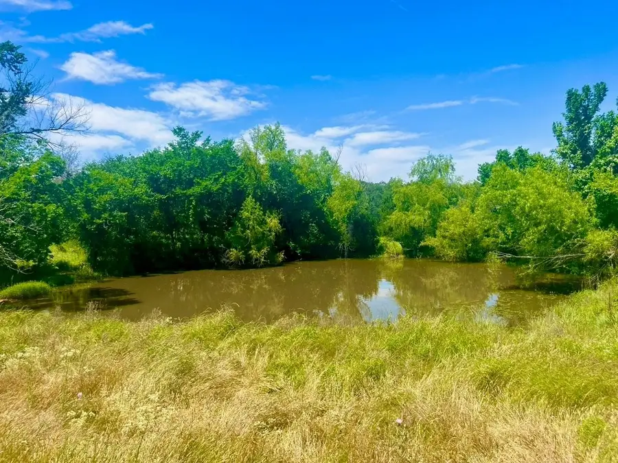Lot 99 Arlow Road, Poolville, TX 76487 - Image #2