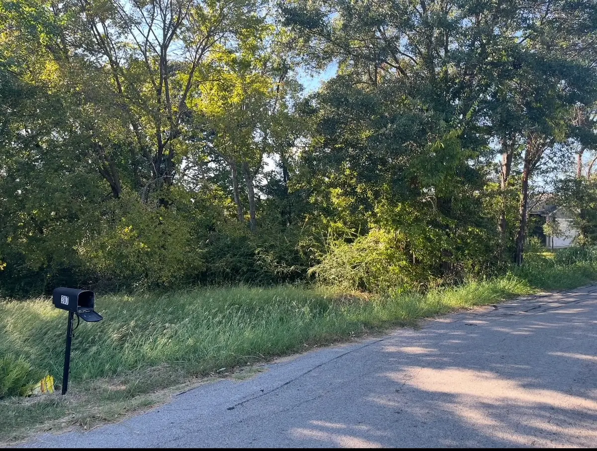 0 Bounding Main Street, Gun Barrel City, TX 75156 - Image #1