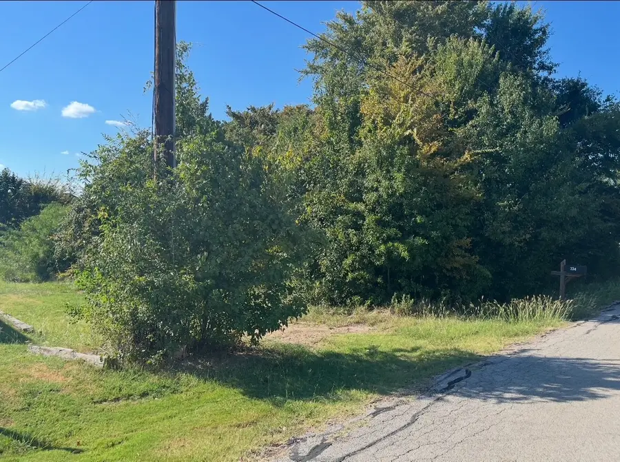 0 Bounding Main Street, Gun Barrel City, TX 75156 - Image #2