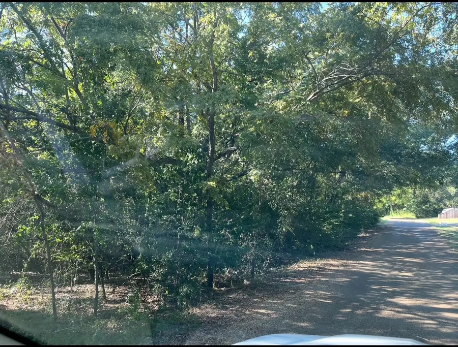 0 Bounding Main Street, Gun Barrel City, TX 75156 - Image #3