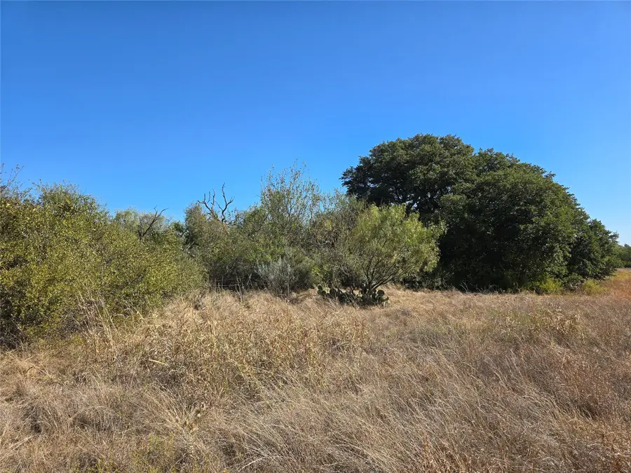 1343 County Road 188, Cross Plains, TX 76443 - #3