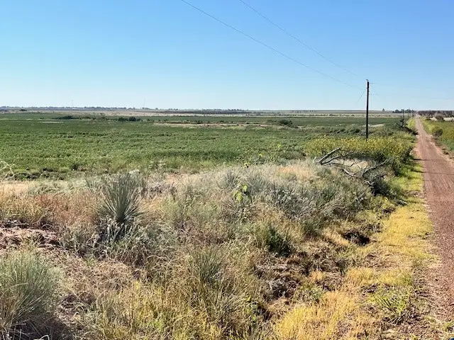 TBD Cr 305, Roby, TX 79543 - Image #3