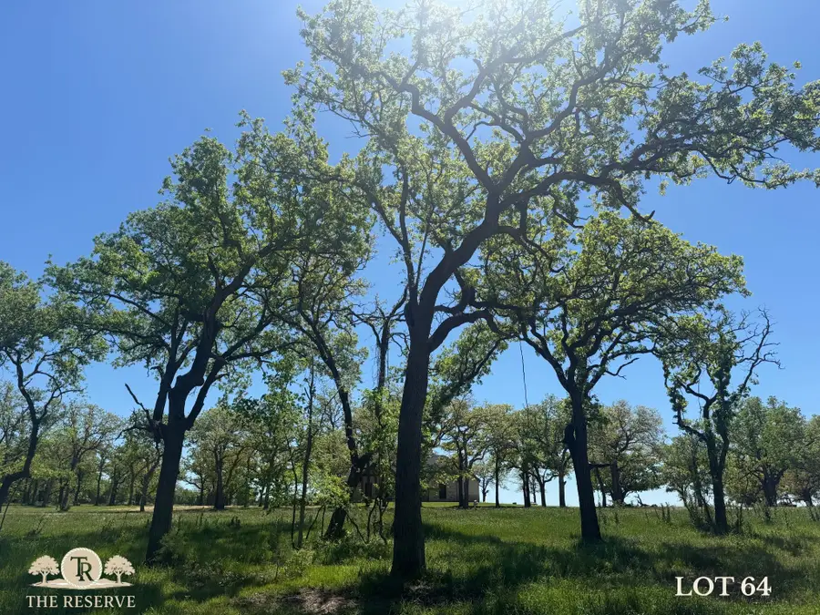 Lot 64 Camden Lane, Springtown, TX 76082 - #3