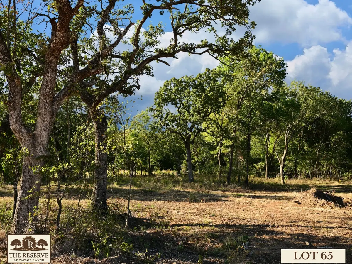 Lot 65 Camden Lane, Springtown, TX 76082 - Image #1