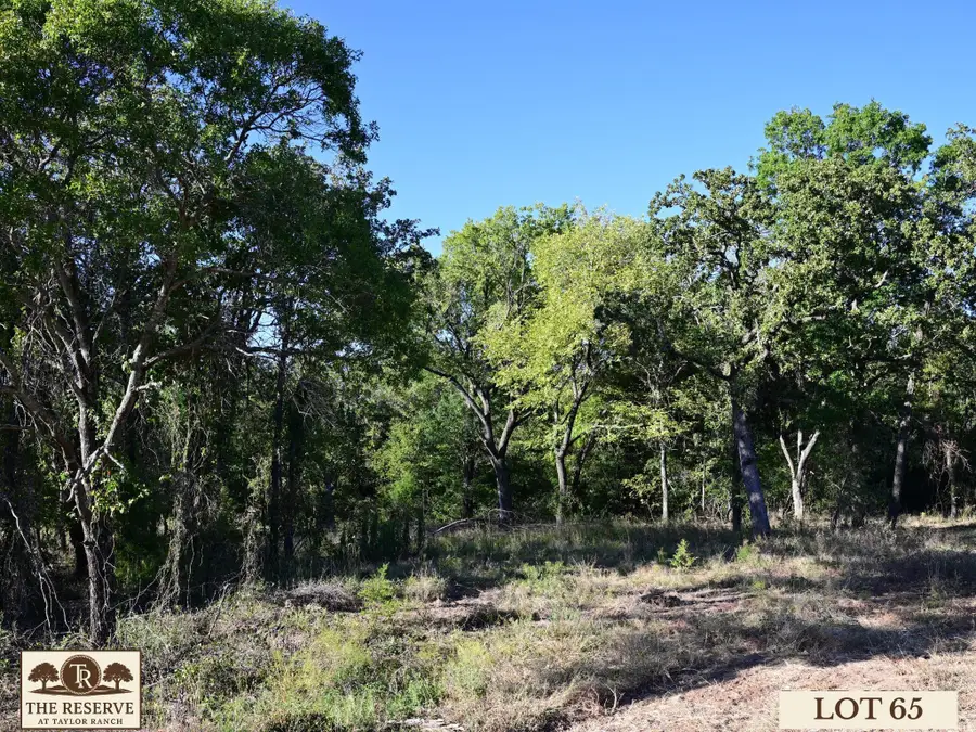 Lot 65 Camden Lane, Springtown, TX 76082 - Image #2