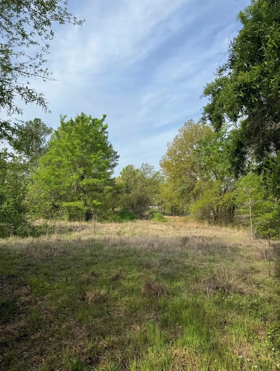 341 Schooner Road, Gun Barrel City, TX 75156 - Image #2