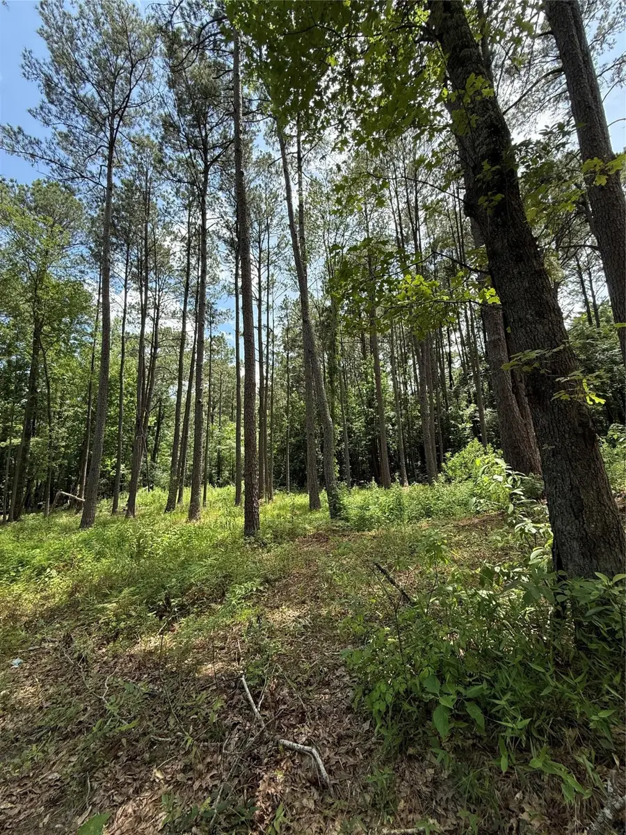 TBD Pr 1332, Elysian Fields, TX 75642 - Image #3