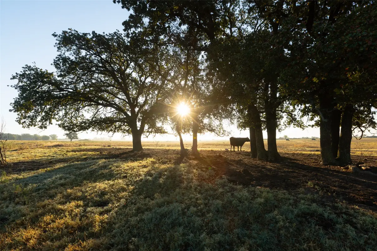 TBD Brushy Road #Tract 1 & 2, Granbury, TX 76048 - Image #1
