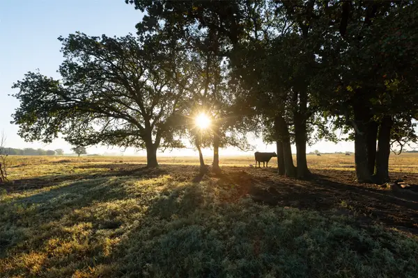 TBD Brushy Road #Tract 2 & 3, Granbury, TX 76048