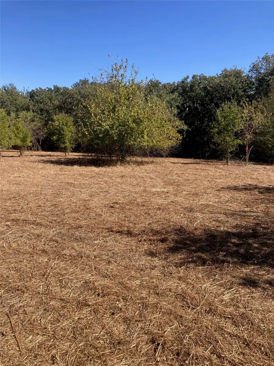 1615 Cr 429, Cleburne, TX 76033 - Image #3