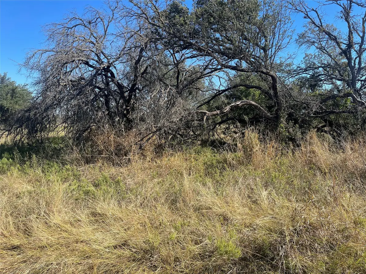 708 Safe Harbor Drive, Brownwood, TX 76801 - Image #1